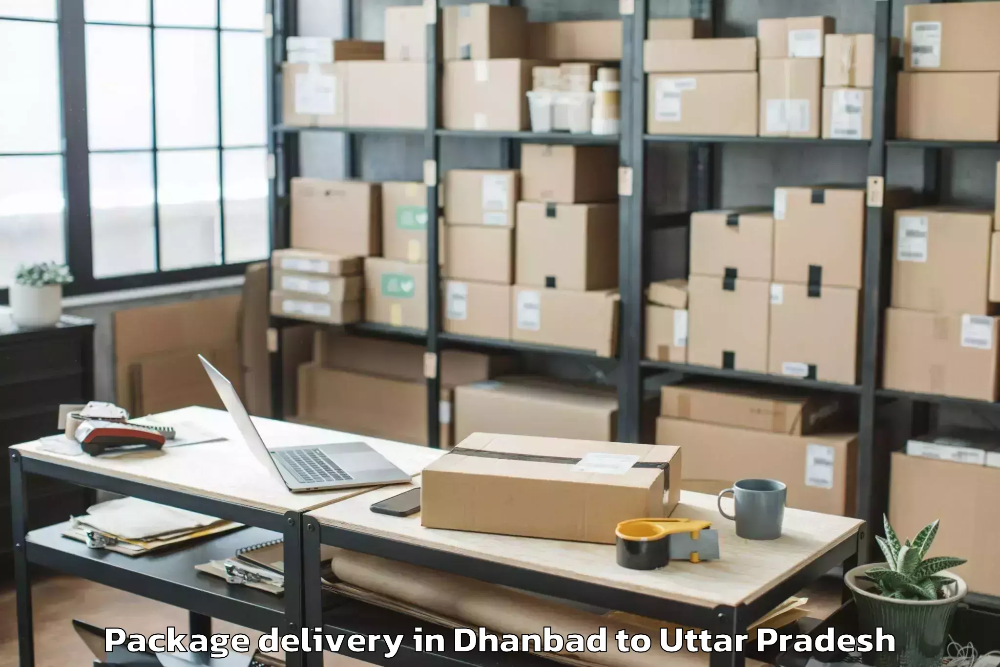 Reliable Dhanbad to Bidhuna Package Delivery